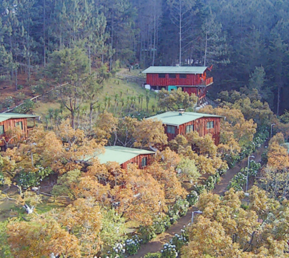 Allá Arriba Cabaña Y Restaurante